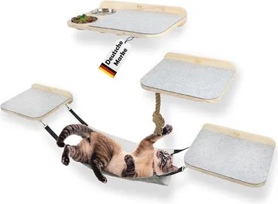 Produktbild von Famanu Katzen Klimwand 2.0 - 8-teiliges Set mit weicher Hängematte, Kratzseil und Fressnäpfen