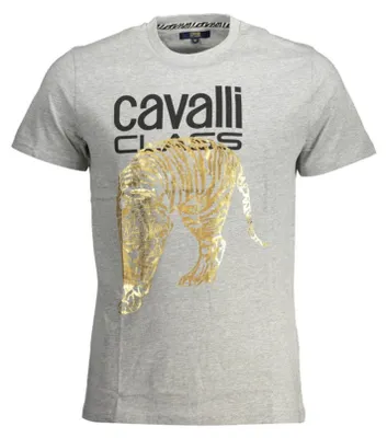 Image de T-shirt Cavalli Class qxt061ijd060160bc49grigio04962xl