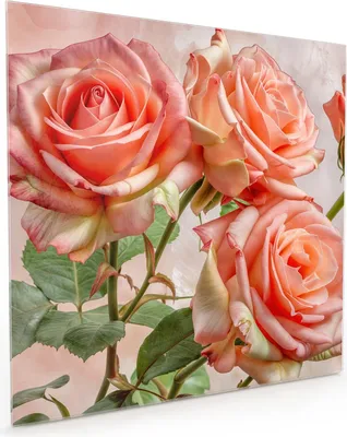 Produktbild von Küchenrückwand Spritzschutz Glas mit Motiv Rosen Bouquet 40 x 40 cm