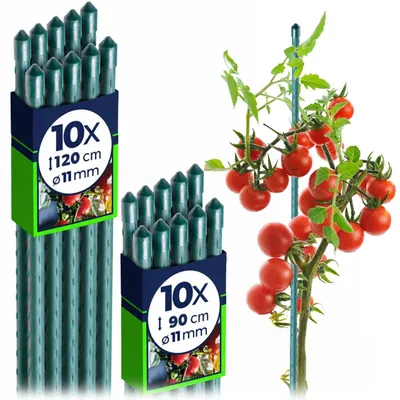 Produktbild von Pflanzenstütze - Tomatenstab / Rankstab - Set 20 Stück - Länge 120 + 180 cm - Ø 11 mm - Für Garten und Gewächshaus - Grün