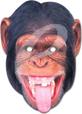 Image de Monkey - Masques - Masque de célébrité