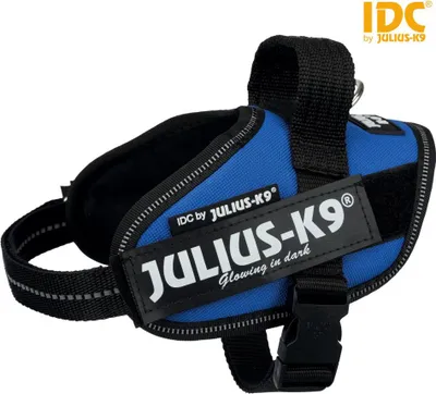 Image de Julius K9 - Harnais pour chien - bleu - Mini Mini - 40-53 cm