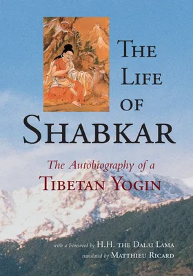 Produktbild von The Life of Shabkar