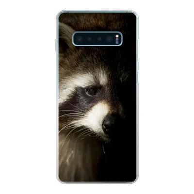 Produktbild von MuchoWow® Handyhülle Schutzhülle Hülle für Samsung Galaxy S10 Plus Waschbär - Wilde Tiere - Schwarz Silikon Softcase Handy Hülle - Schutzhülle