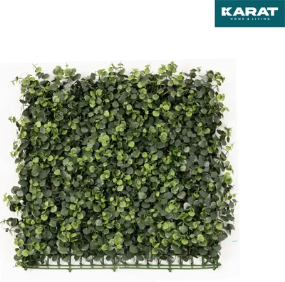 Obrázek produktu pro Rostlina Wall Umělé rostliny pro montáž na zeď 50 x 50 cm Eucalyptus