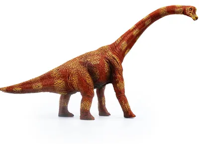 Zdjęcie produktu dla Duża zabawka przedstawiająca dinozaura, 34 cm, realistyczna figurka dinozaura, figurka brachiozaura, edukacyjna zabawka przedstawiająca brachiozaura