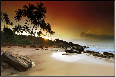 Produktbild von Wallario Wandbild Sri Lanka - Palmenstrand mit Sonnenuntergang, Größe: 61 x 91,50 cm, Poster mit schwarzem Aluminiumrahmen