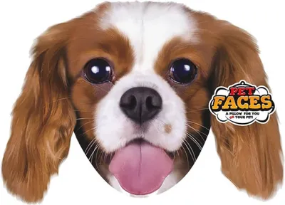 Zdjęcie produktu dla Poduszka Pet Faces King Charles pies