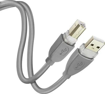 Zdjęcie produktu dla Kabel USB-A 2.0 do USB-B 2.0 Szybka transmisja 1,8 m LinQ Grey