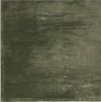 Produktbild von vidaXL Teppich HUARTE Kurzflor Weich und Waschbar Waldgrün 240x240 cm