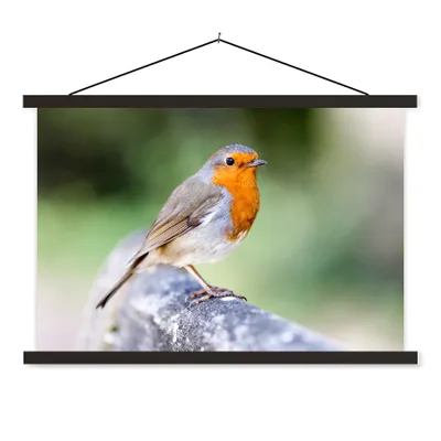 Produktbild von MuchoWow® Textilposter Rotkehlchen - Ast - Holz 60x40 cm mit schwarzem Rahmen - Hölzernes