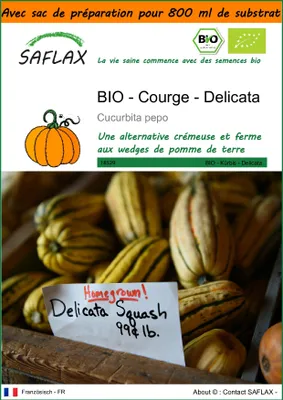 Image de SAFLAX Garden in the bag -- Courge - Delicata - 6 graines - Cucurbita
