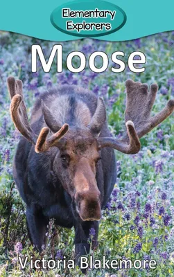 Produktbild von Moose