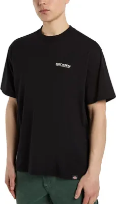 Image de Dickies Burns Tee Ss Couleur Noir