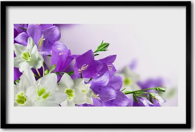 Produktbild von Bild 60x40 MDF-Rahmen Wandkunst Blumen Pflanzen