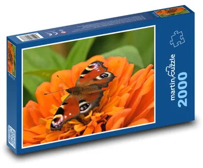 Zdjęcie produktu dla Puzzle 2000 Motyl pawica na kwiecie - martinpuzzle