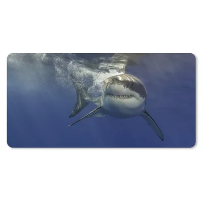 Produktbild von MuchoWow® Mauspad Mousepad Hai unter Wasser 60x30 cm - Mousepads - Maus Mat - Pad - Mausunterlage - Nachhaltig