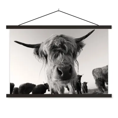 Produktbild von MuchoWow® Textilposter Schottischer Highlander - Schwarz - Weiß - Tiere 120x80 cm mit schwarzem Rahmen - Wanddeko