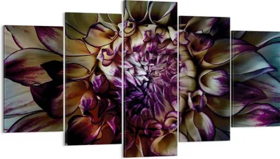 Produktbild von Bild auf Leinwand - Leinwandbild - 5 Teile - Blätter Agave Blume - 160x85cm - Wand Bild - Wanddeko - Wandbilder - Leinwanddruck - Bilder - Wanddekoration - Leinwand bilder - Wandbild - EA160x85-5122