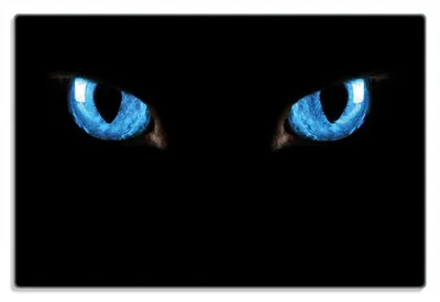 Produktbild von Wallario Frühstücksbrettchen aus Glas 20 x 30 cm mit rutschfesten Füßen, Motiv Blaue Katzenaugen bei Nacht