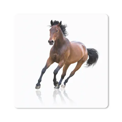 Produktbild von MuchoWow® Mauspad Mousepad Pferd - Braun - Weiß 30x30 cm - Mousepads - Maus Mat - Pad - Mausunterlage - Gaming