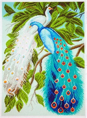 Zdjęcie produktu dla CdA Aida drukowana do haftu krzyżykowego "Pawie" PA1236, 27 x 39 cm