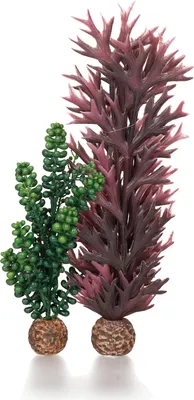 Obrázek produktu pro biOrb seapearls & kelp olive green
