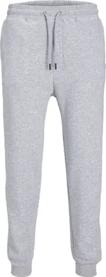 Produktbild von JACK & JONES Jogginghose Basic Relaxed Fit JPSTGORDON Größe: L