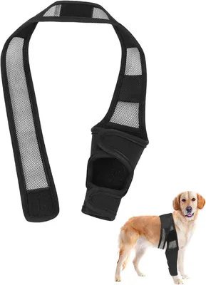 Produktbild von Hundebeinschutz, für Hunde, Neopren, verstellbar, für Gelenkprobleme