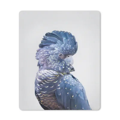 Produktbild von MuchoWow® Mauspad Mousepad Kakadu - Blau - Tiere - Natur 30x40 cm - Mousepads - Maus Mat - Pad - Mausunterlage - Mausmatten