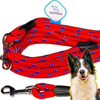 Produktbild von MyPetShop Trainingsleine Robust 5m 10mm für Hunde