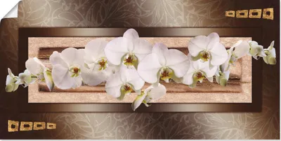 Produktbild von ARTland Poster Weiße Orchideen mit goldenen Vierecken Größe: 40x20 cm