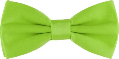 Produktbild von Ladeheid Kinder Jungen Fliege MJ (10cm x 5cm)