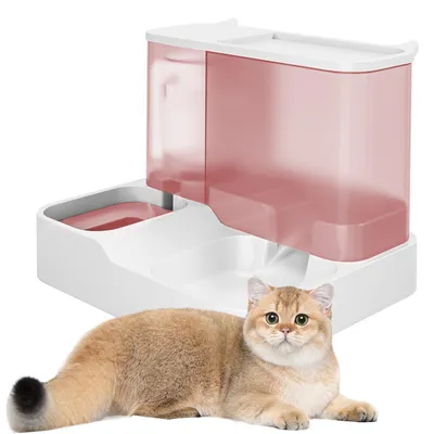 2-in-1 Futter- und Wasserspender für Katzen, 3,8 L