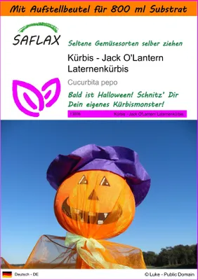 Produktbild von SAFLAX - Garden in the Bag - Kürbis - Jack O'Lantern Laternenkürbis - 10 Samen - Mit Anzuchtsubstrat im praktischen, selbst aufstellenden Beutel - Cucurbita pepo