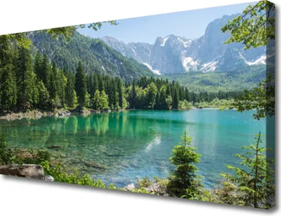 Produktbild von Tulup Leinwand-Bilder 100x50 Wandbild Canvas Kunstdruck Gebirge See Wald Natur