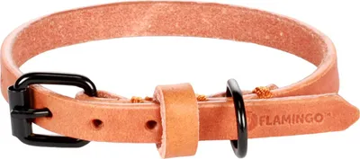 Produktbild von Flamingo Halsband Leano cognac, Maße: 21 - 26 cm / 10 mm