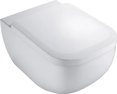 A white wall-mounted toilet with the lid closed, shown from a slightly elevated front-side angle against a white background.