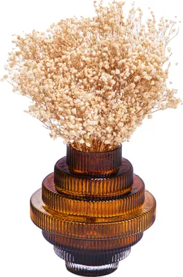 Immagine prodotto di QUVIO Vaso - Vaso di fiori - Vaso di vetro - Vasi - Design a gradini - Vaso a gradini - Vaso di fiori secchi - Vaso di fiori secchi - Misura S - Vaso di vetro - Vetro - Trasparente - Marrone