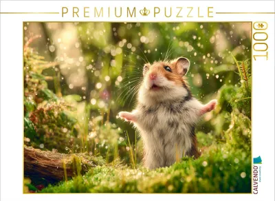 Produktbild von CALVENDO Puzzle Ein Motiv aus dem Kalender Waldgeflüster | 1000 Teile Lege-Größe 64x48cm Foto-Puzzle für glückliche Stunden