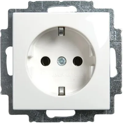 Obrázok produktu pre Busch-Jaeger 2CKA002099A0304, Typ F, 2P+E, Biela, Termoplastik, IP20, 250 V