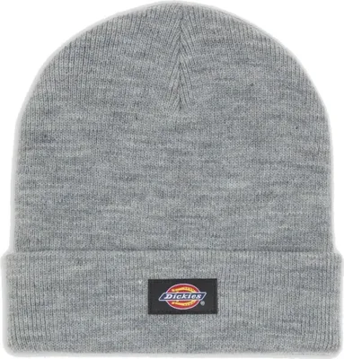 Zdjęcie produktu dla DICKIES - Cuffia uomo Gibsland con logo - Misura One size