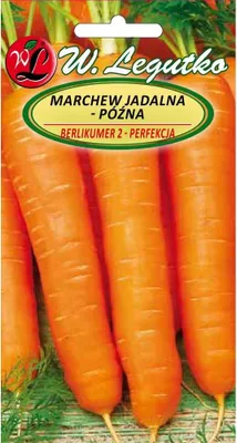 Immagine prodotto di Semi di carota commestibile Berlikumer 2, tardiva, 5 g