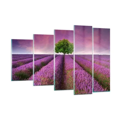 Produktbild von Bilder auf glas - Wiese lavenda Sommer Landschaft - 150x100cm - Glasbilder - Wandbilder - Kunstdruck - Wanddekoration aus Glas - Glas Bilder - Wandbild auf Glas - GEG150x100-2605