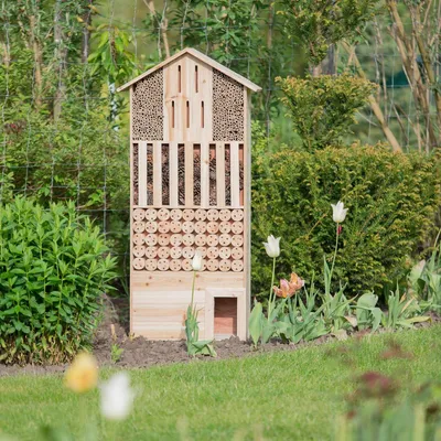 Productafbeelding van Egelhuis XXL. Insectenhotel met nestkasten voor bijen en vlinders. Hout, ongeveer 118x57x24 cm. Natuurlijk egelhuis