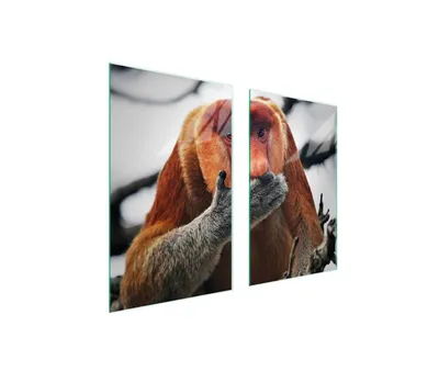 Produktbild von Glasschutzplatte Für Herd 75X52 Nosacz