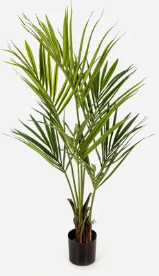 Produktbild von artplants.de Künstliche Kentia Palme Omayra, 140cm - Kunststoff Palme