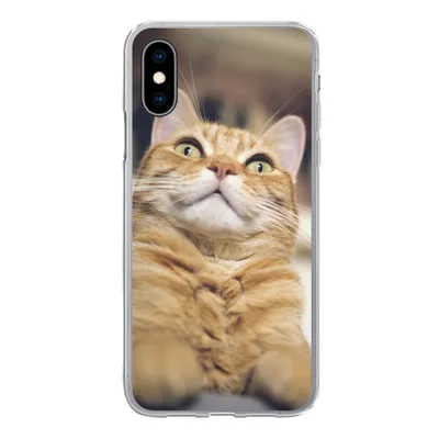 Produktbild von MuchoWow® Handyhülle Schutzhülle Hülle für iPhone X Katze - Bank - Orange Silikon Softcase Handy Hülle - Handyhülle