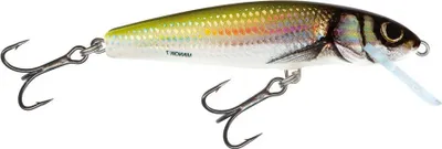 Produktbild von Salmo Minnow Sinking Holo Bleak 7 cm 8 g Wobbler