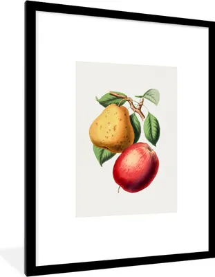 Produktbild von MuchoWow® Gerahmtes Poster Birne - Apfel - Baum 60x80 cm - Poster mit Schwarzem Bilderrahmen Wandposter Rahmen Foto Bilder - Wohnzimmer - Dekorationen - Prämie